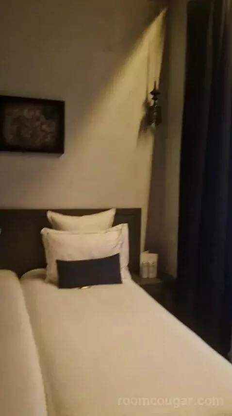 Deluxe Double or Twin Room (#110) bed picture #5