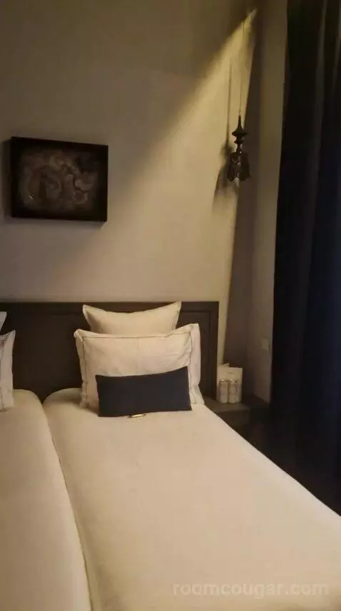 Deluxe Double or Twin Room (#110) bed picture #6