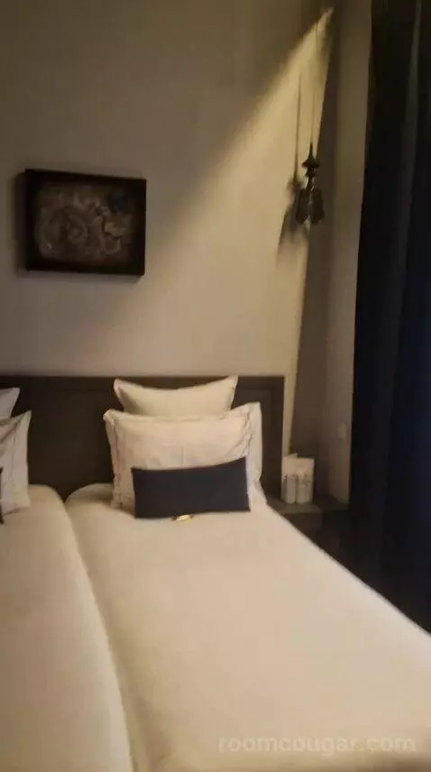 Deluxe Double or Twin Room (#110) bed picture #7