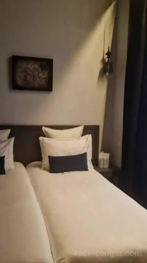 Deluxe Double or Twin Room (#110) bed picture #8