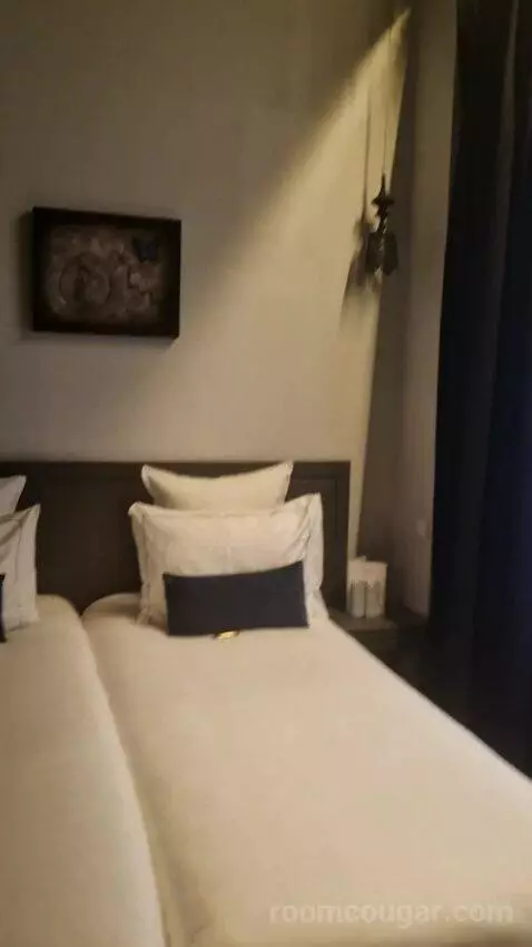 Deluxe Double or Twin Room (#110) picture #15