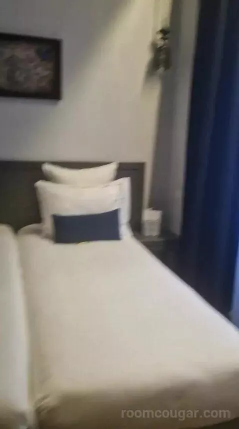 Deluxe Double or Twin Room (#110) bed picture #10