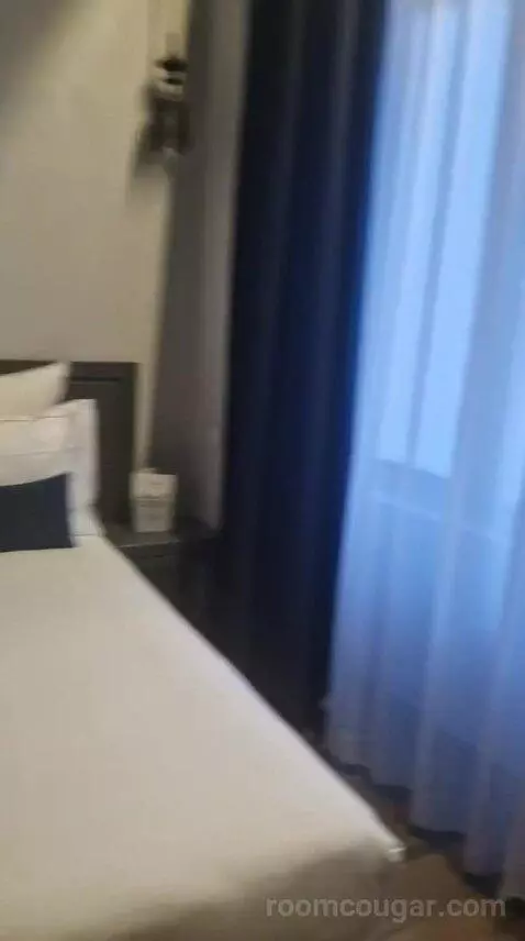 Deluxe Double or Twin Room (#110) bed picture #12