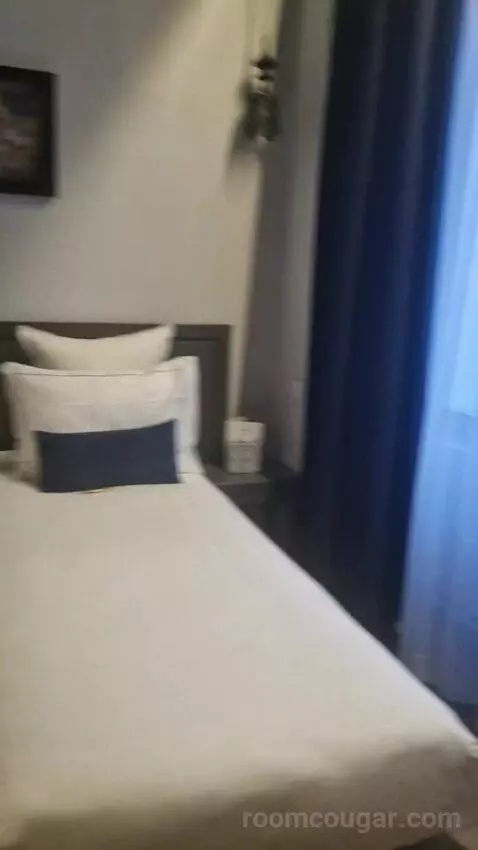 Deluxe Double or Twin Room (#110) picture #16