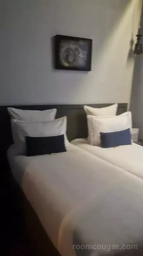 Deluxe Double or Twin Room (#110) bed picture #1