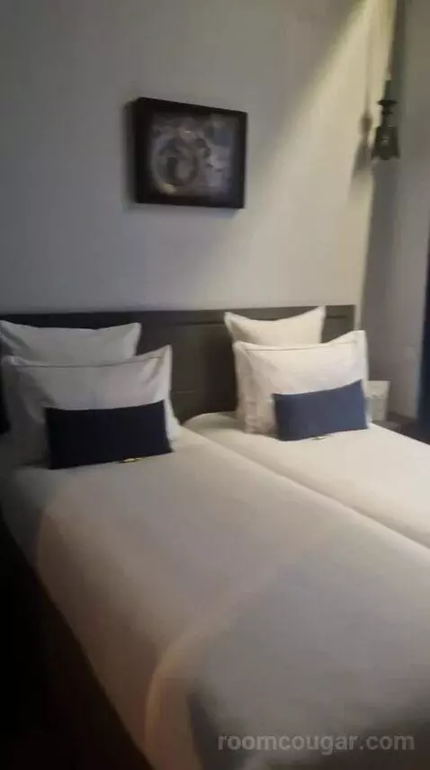 Deluxe Double or Twin Room (#110) bed picture #2