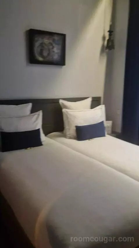 Deluxe Double or Twin Room (#110) picture #9