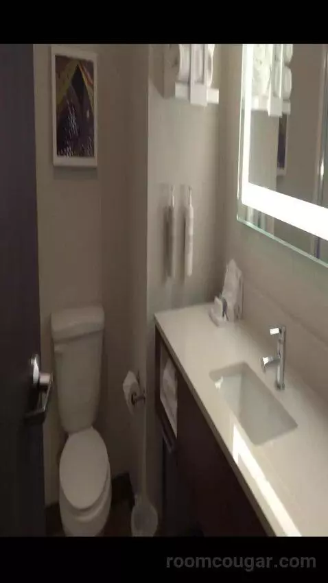 Queen Room with Two Queen Beds (#222) bathroom picture #1