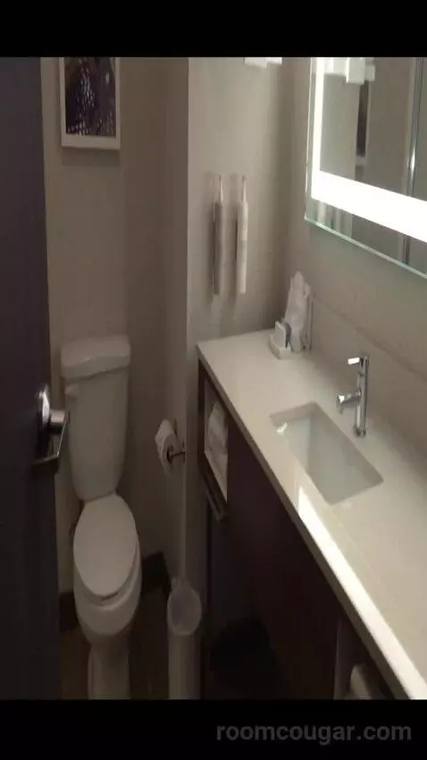Queen Room with Two Queen Beds (#222) bathroom picture #2