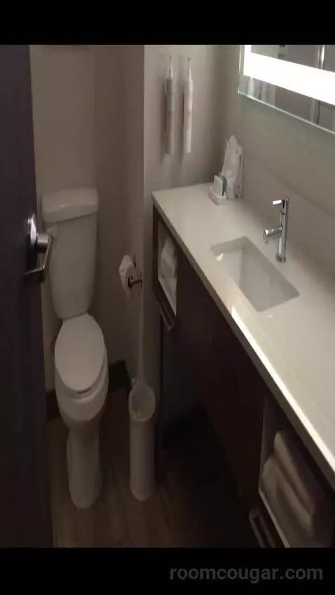 Queen Room with Two Queen Beds (#222) bathroom picture #4