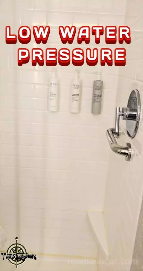 King Studio Suite (#502) picture #11