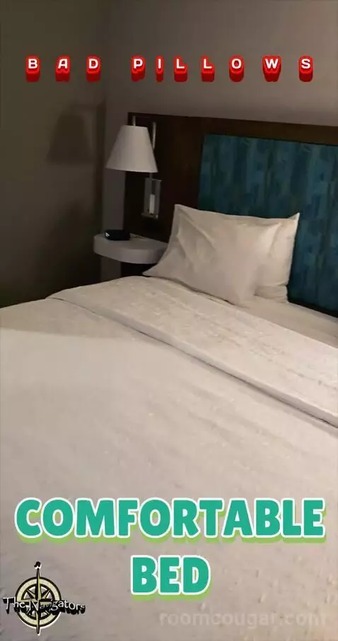 King Studio Suite (#502) picture #13