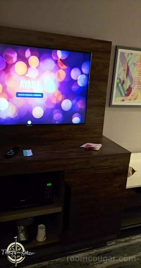 King Studio Suite (#502) picture #14