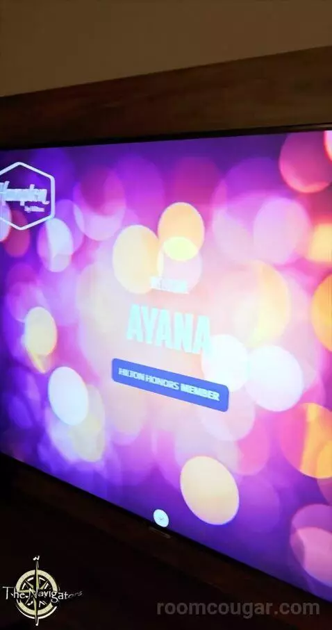 King Studio Suite (#502) picture #15