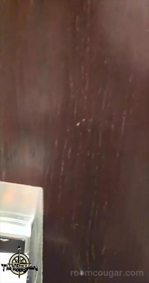 King Studio Suite (#502) picture #4