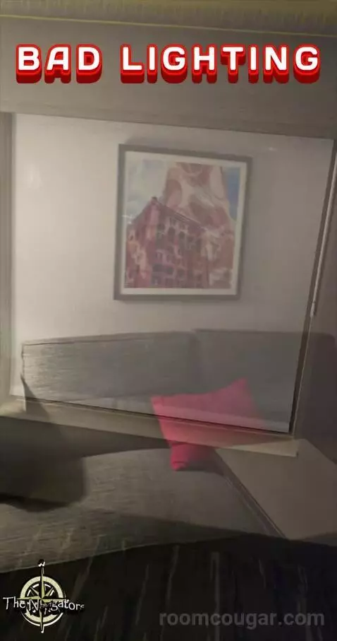 King Studio Suite (#502) picture #7