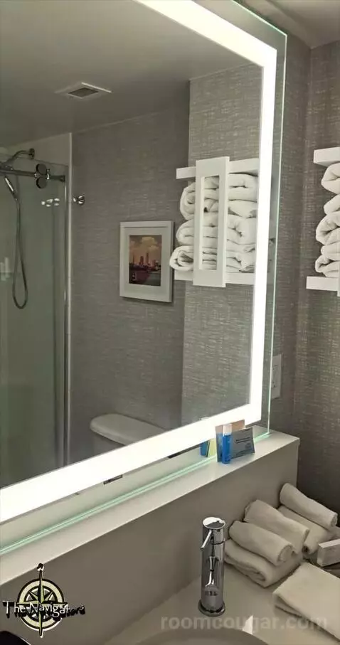 King Studio Suite (#502) picture #9