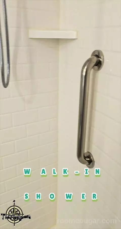 King Studio Suite (#502) picture #10