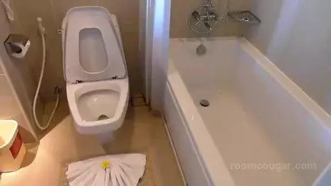 Mini Suite Plus Sea View Twin Bed bathroom picture #1