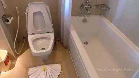 Mini Suite Plus Sea View Twin Bed bathroom picture #2