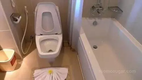 Mini Suite Plus Sea View Twin Bed bathroom picture #3