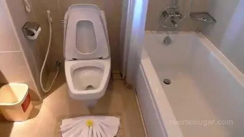 Mini Suite Plus Sea View Twin Bed bathroom picture #4