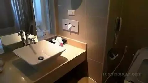 Mini Suite Plus Sea View Twin Bed bathroom picture #8