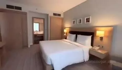 One Bedroom King Suite view picture #2