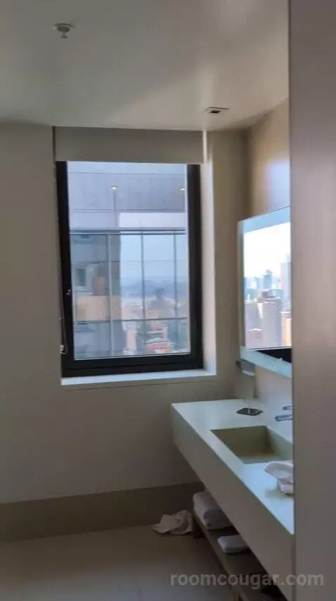 Loft Suite with City View (#2907) bathroom picture #2