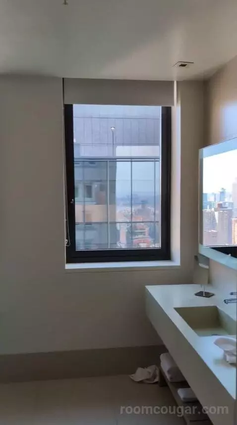 Loft Suite with City View (#2907) bathroom picture #4