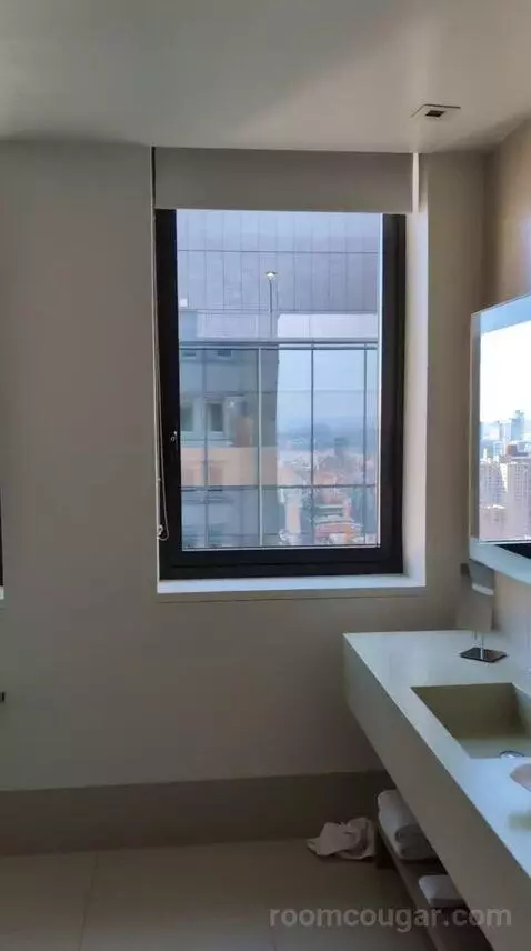 Loft Suite with City View (#2907) bathroom picture #5