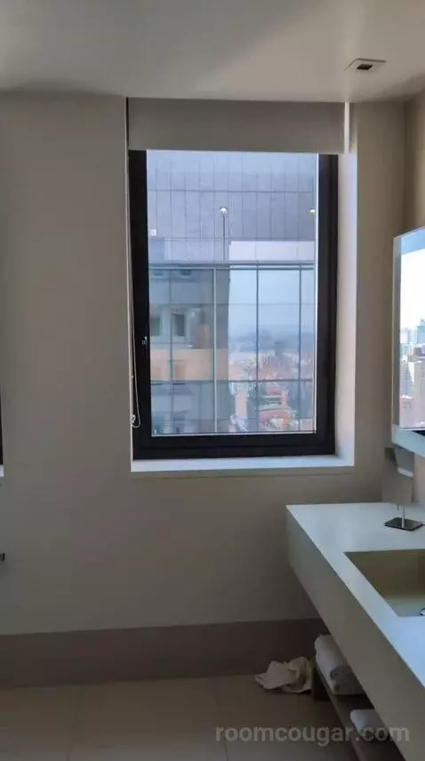 Loft Suite with City View (#2907) bathroom picture #6