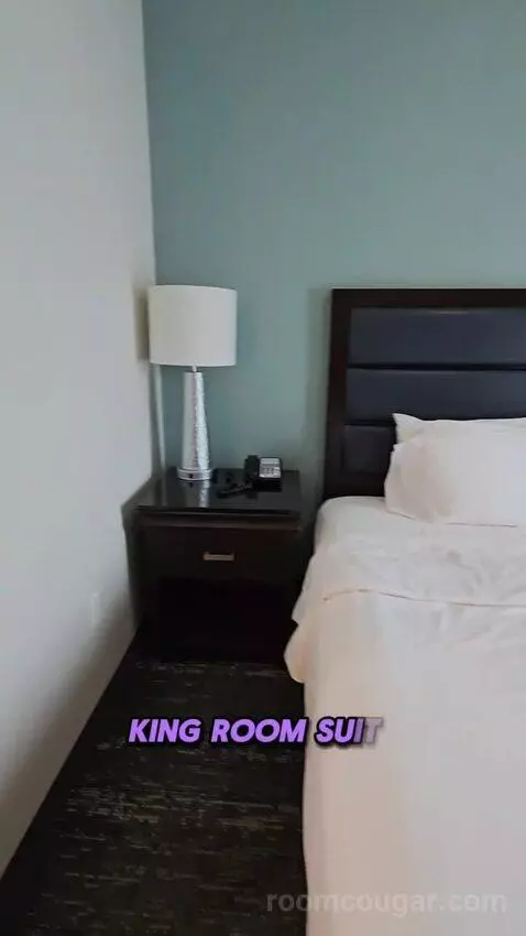 King Studio Suite (#119) bed picture #7