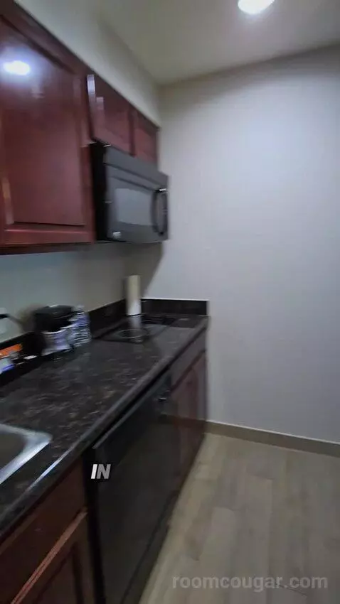King Studio Suite (#119) picture #3