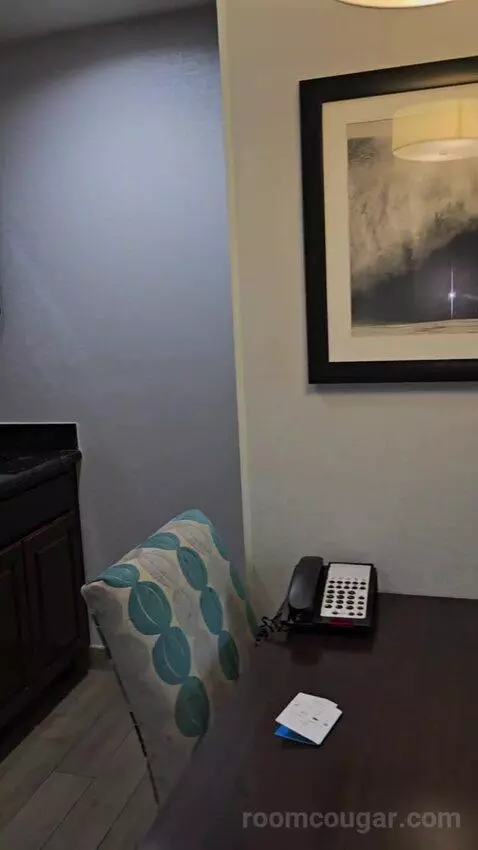 King Studio Suite (#119) picture #24