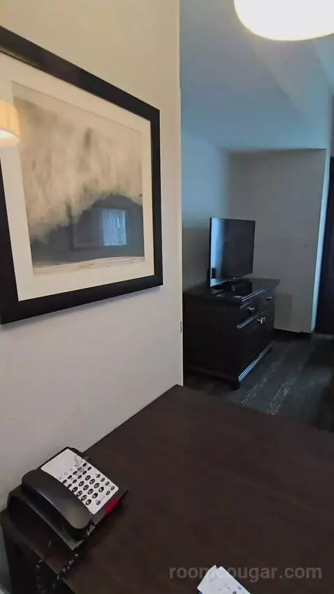 King Studio Suite (#119) picture #9