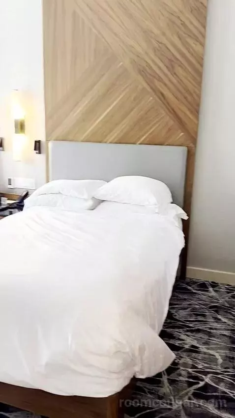 Deluxe Double Room bed picture #4