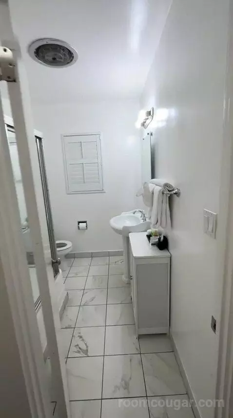 King Suite bathroom picture #4
