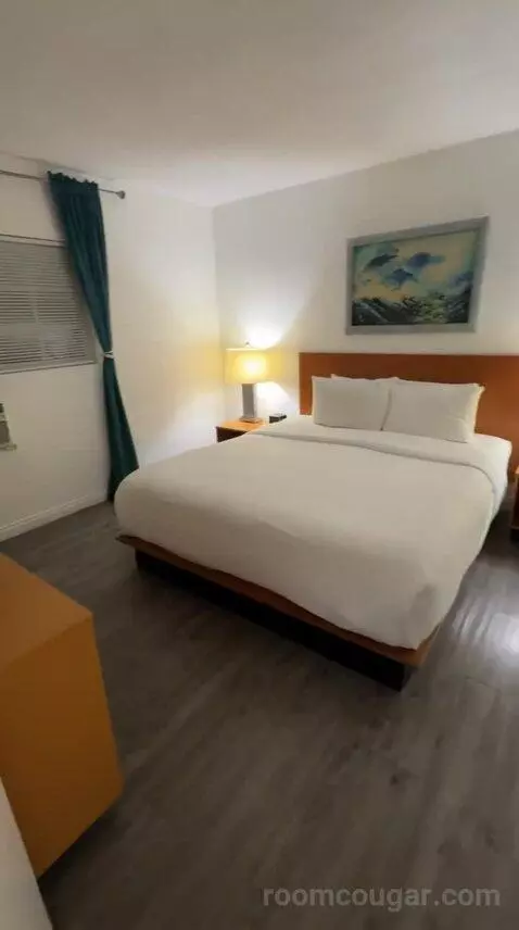 King Suite bed picture #1