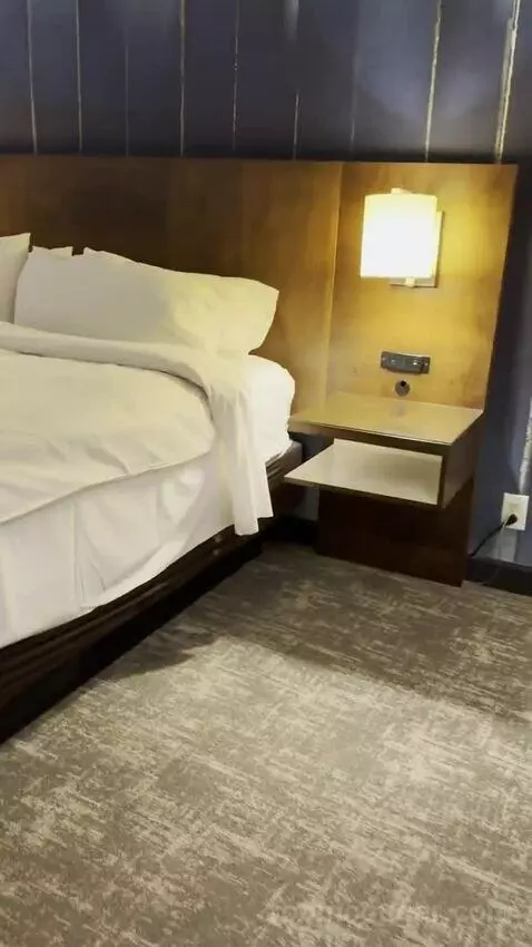 Junior Suite bed picture #6