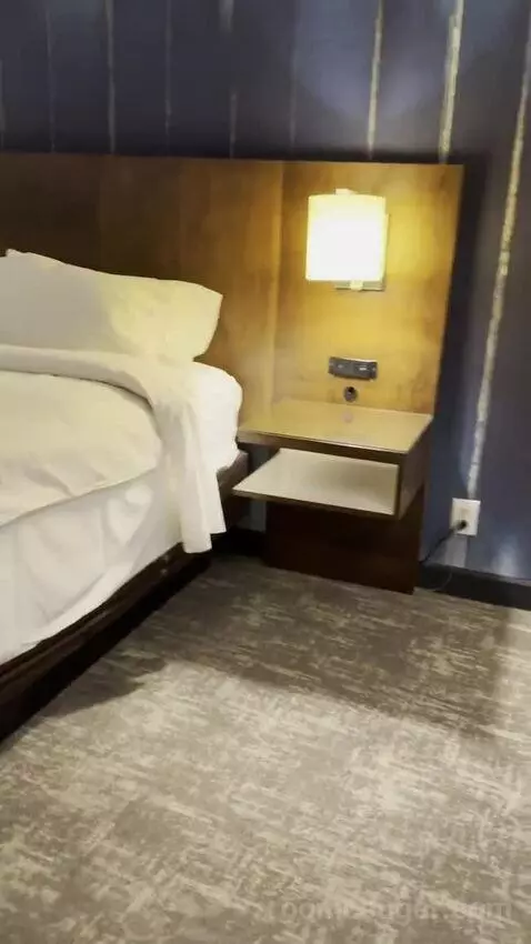 Junior Suite bed picture #8