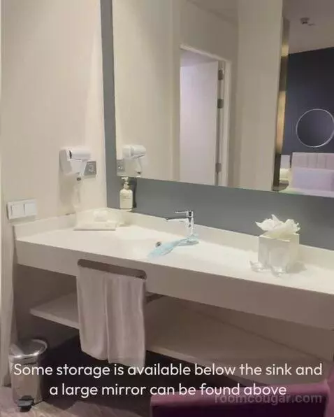 Double Room bathroom picture #8