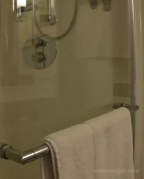 Suite (D226) bathroom picture #8