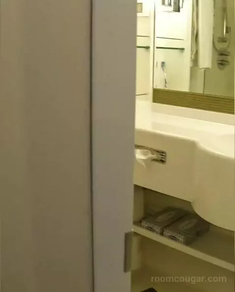 Suite (D226) bathroom picture #1