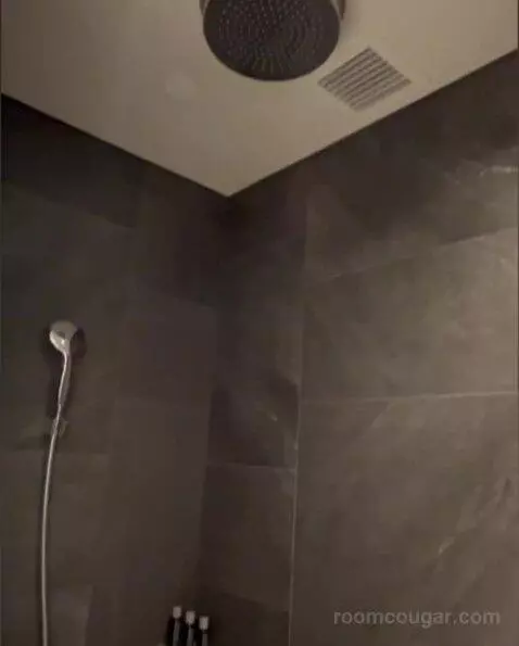 Deluxe Room bathroom picture #1