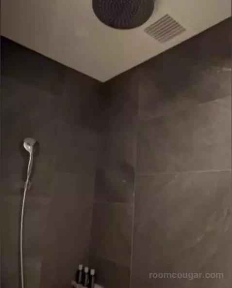 Deluxe Room bathroom picture #2