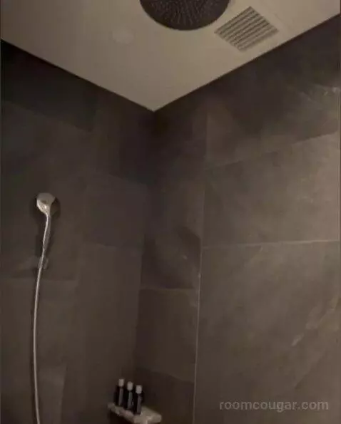 Deluxe Room bathroom picture #3
