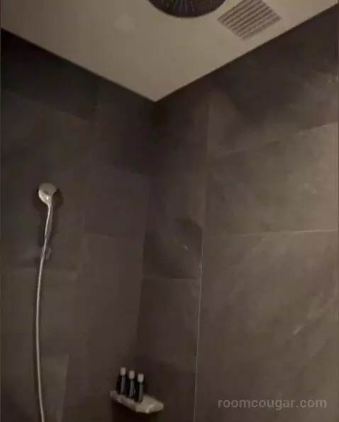 Deluxe Room bathroom picture #4
