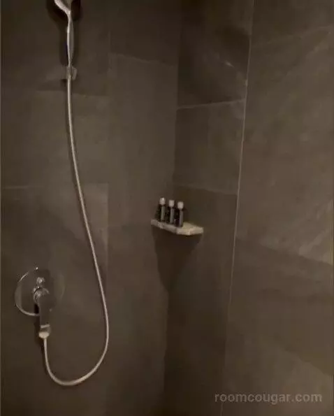 Deluxe Room bathroom picture #5