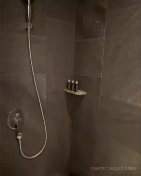 Deluxe Room bathroom picture #6